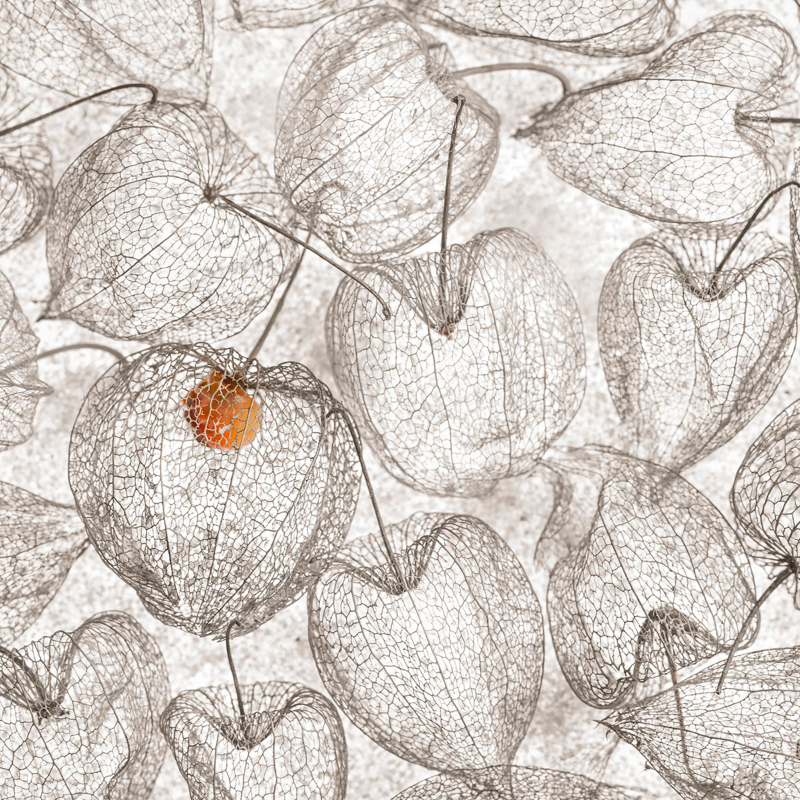 “Red Dot” recibiĂł muchos elogios por su estilo artĂstico.Foto: Christl Deckx